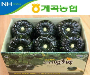 더 알찬 밤호박