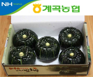 더 알찬 밤호박