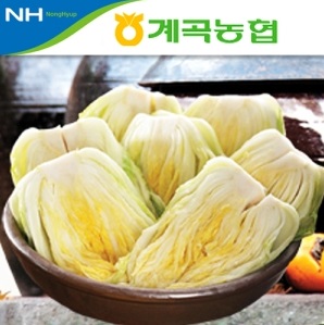 일반절임배추